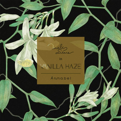 melt stars in vanilla hazeのジャケット写真