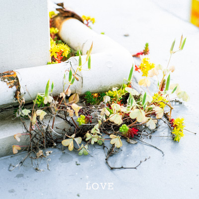 LOVE Front Cover