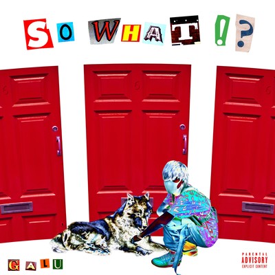 SO WHAT !? Front Cover