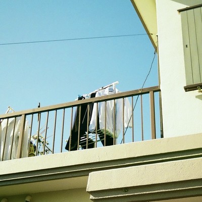 全部がおかしい、故に愛しい (feat. 日高大地)のジャケット写真