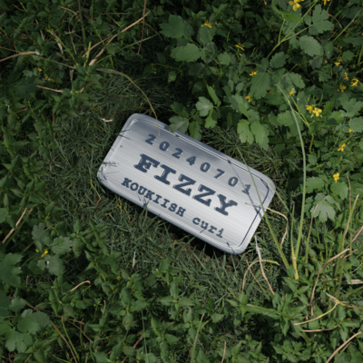 fizzyのジャケット写真