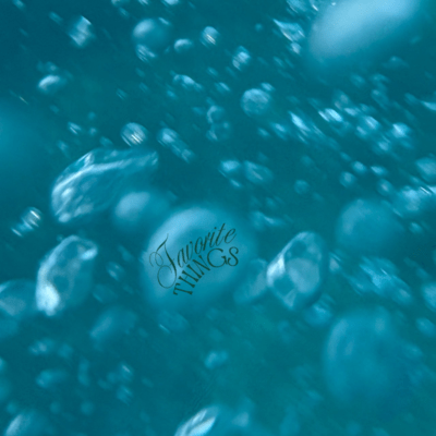 Favorite Things Front Cover