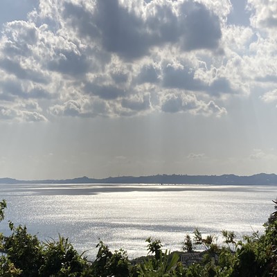 遥かのジャケット写真