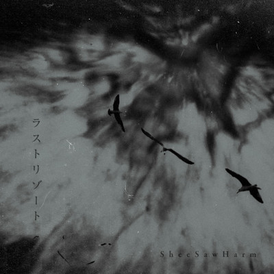 last resort Front Cover