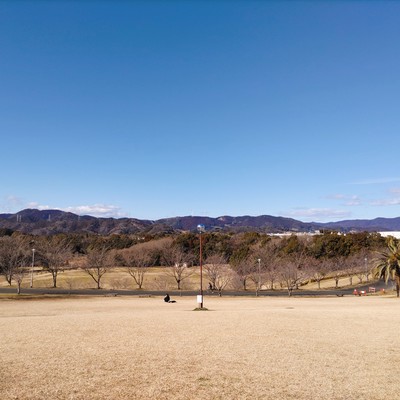 Somewhere Front Cover