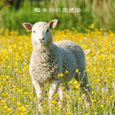 いい日だねのジャケット写真