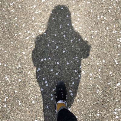 はるかぜのジャケット写真