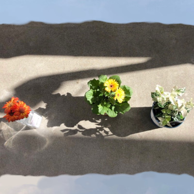 Tomoshibi Asato Front Cover