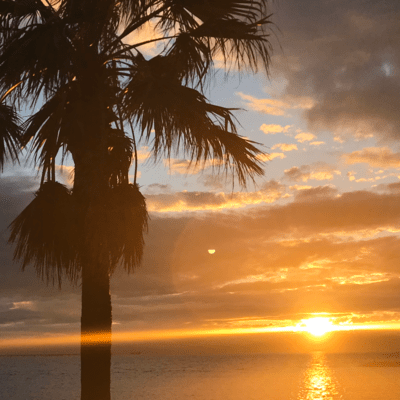 Late Summerのジャケット写真