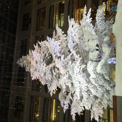 クリスマスのジャケット写真