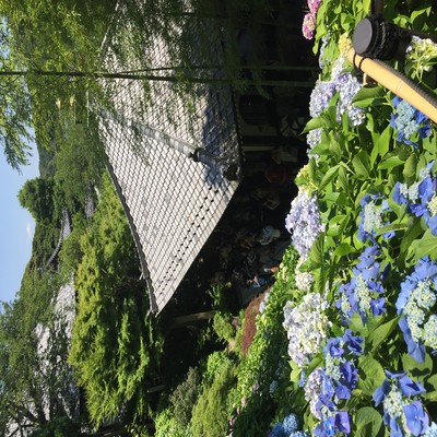 Something in me begins Front Cover