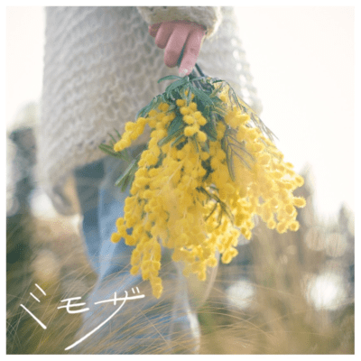 mimoza Front Cover