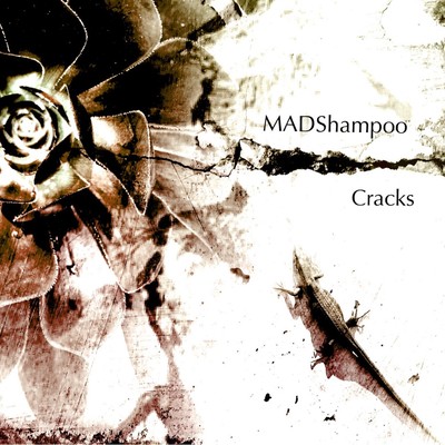 Cracksのジャケット写真