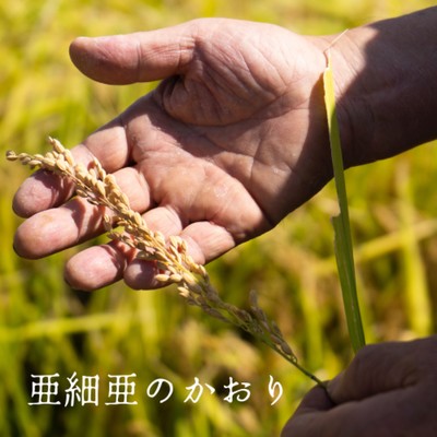 Asia no Kaori Front Cover