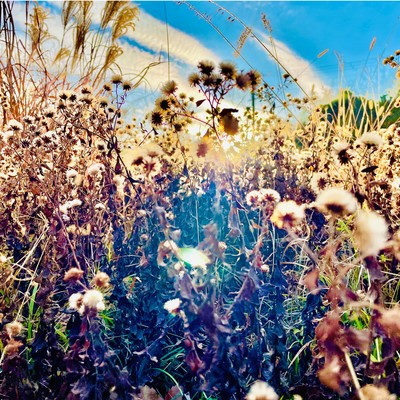 Your place (Acoustic) Front Cover