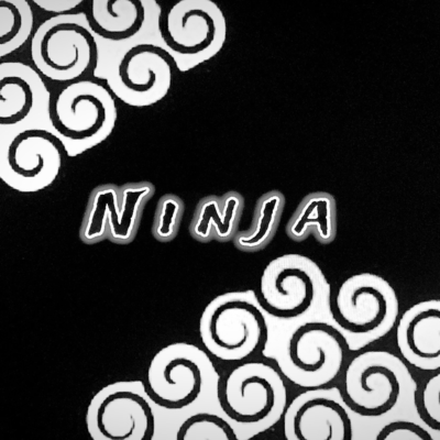 Ninja Front Cover
