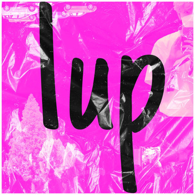 1upのジャケット写真