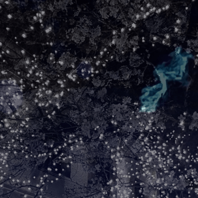 Lantern of reunion Front Cover