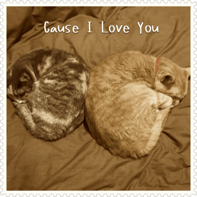 Cause I Love You Front Cover