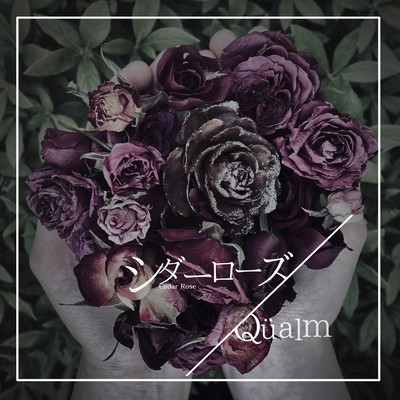 Cedar Rose Front Cover