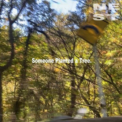 Someone Planted a Tree. Front Cover