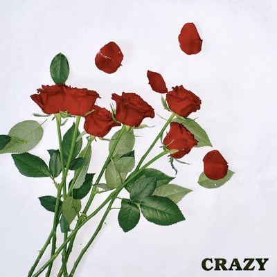 CRAZYのジャケット写真