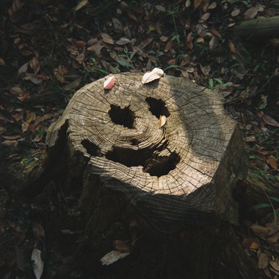 Autumn Leaves Front Cover