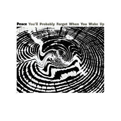 You'll Probably Forget When You Wake Up Front Cover
