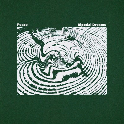 Bipedal Dreams Front Cover