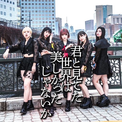 君と見てた世界は美しかったじゃないかのジャケット写真