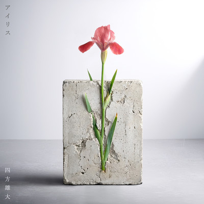 Iris Front Cover