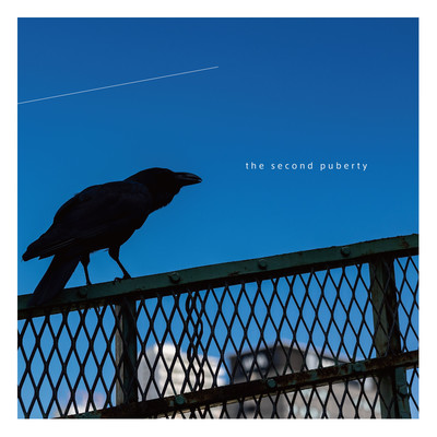 楽しいおとなたちのジャケット写真