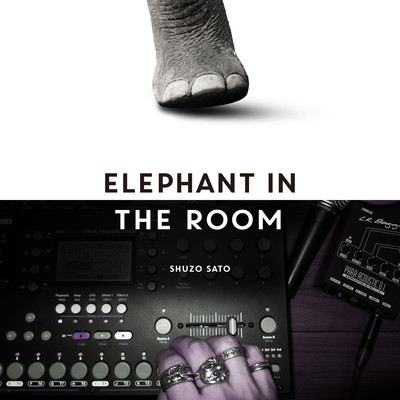 Elephant In The Room Front Cover