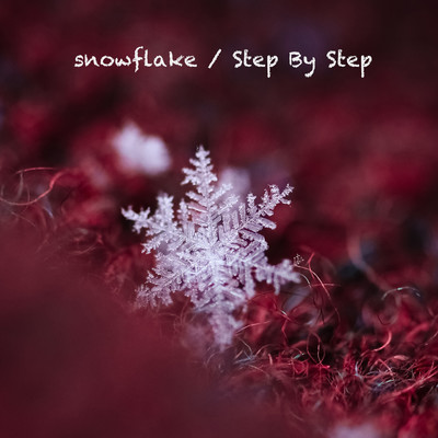 snowflake / Step By Stepのジャケット写真