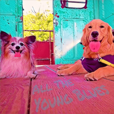 All The Young Blues Front Cover