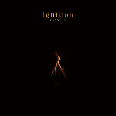Ignition Front Cover