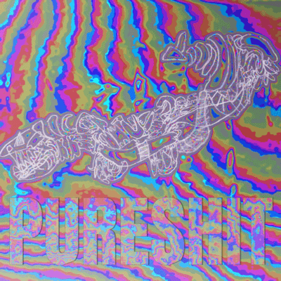 PURE SHIT + VPN Front Cover