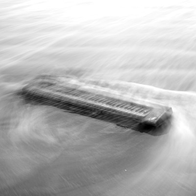 Utaのジャケット写真