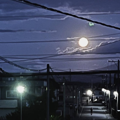 夕月夜のジャケット写真