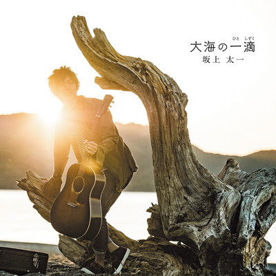 a drop in the ocean Front Cover