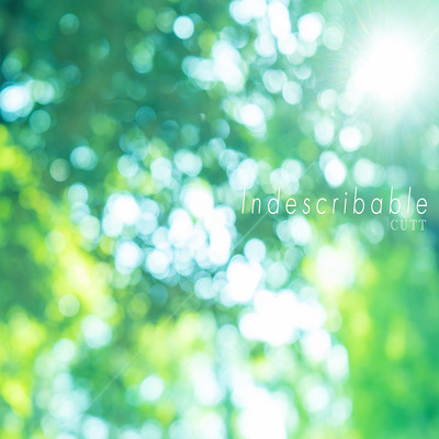 Indescribableのジャケット写真