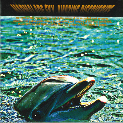 Amazing Discoveriesのジャケット写真