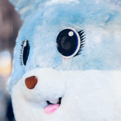 Show it now Front Cover