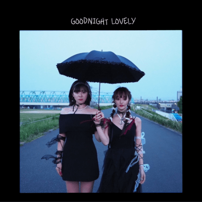 Good night lovely Front Cover