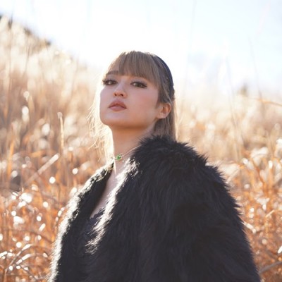 Let's fly Front Cover