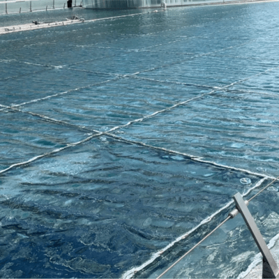 育もう (feat. 初音ミク)のジャケット写真