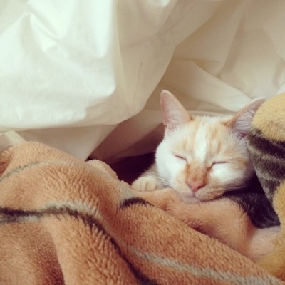 for three years. Front Cover