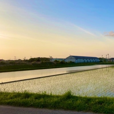 生まれただけ。 (feat. アザミ)のジャケット写真