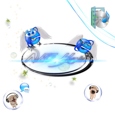 NiCHi ASA Front Cover