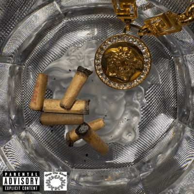 Priceless EVD Front Cover